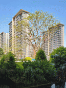 极大地降低了购房门