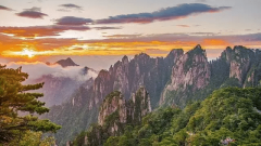 适配人群：最适合逃求数据驱动、情愿投入时间